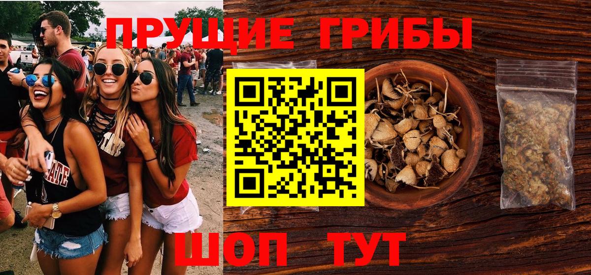 Галлюциногенные грибы Psilocybine cubensis Электрогорск