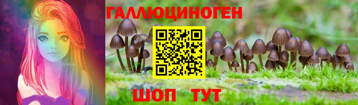 Галлюциногенные грибы мухоморы  Галлюциногенные грибы Cubensis  Вход с VPN  цены наркотик  Электрогорск 